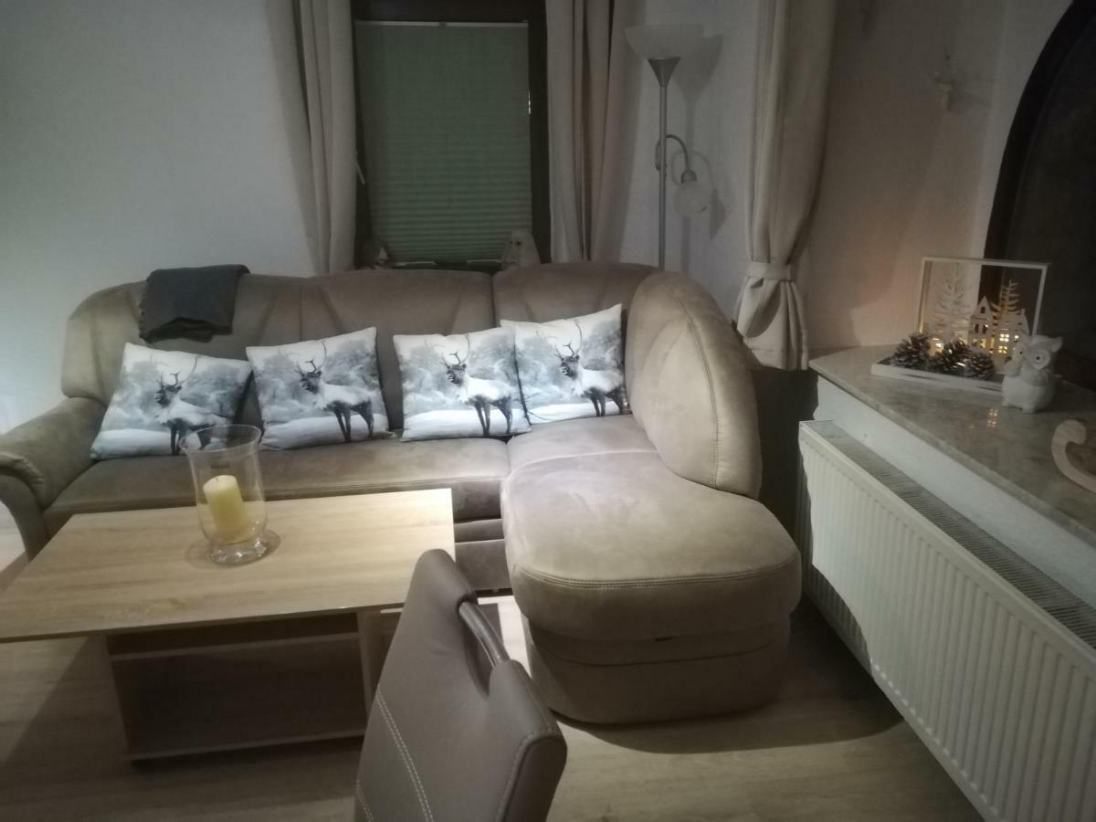 Apartmán Eulennest Eg-Ug Und Maeusenest Og Braunlage Exteriér fotografie