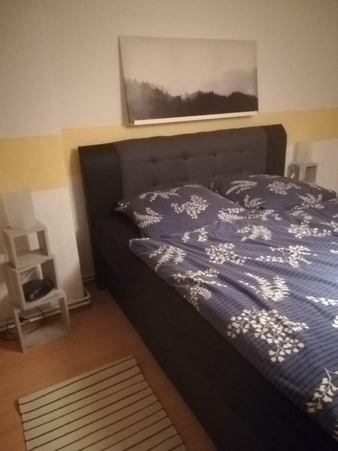 Apartmán Eulennest Eg-Ug Und Maeusenest Og Braunlage Exteriér fotografie