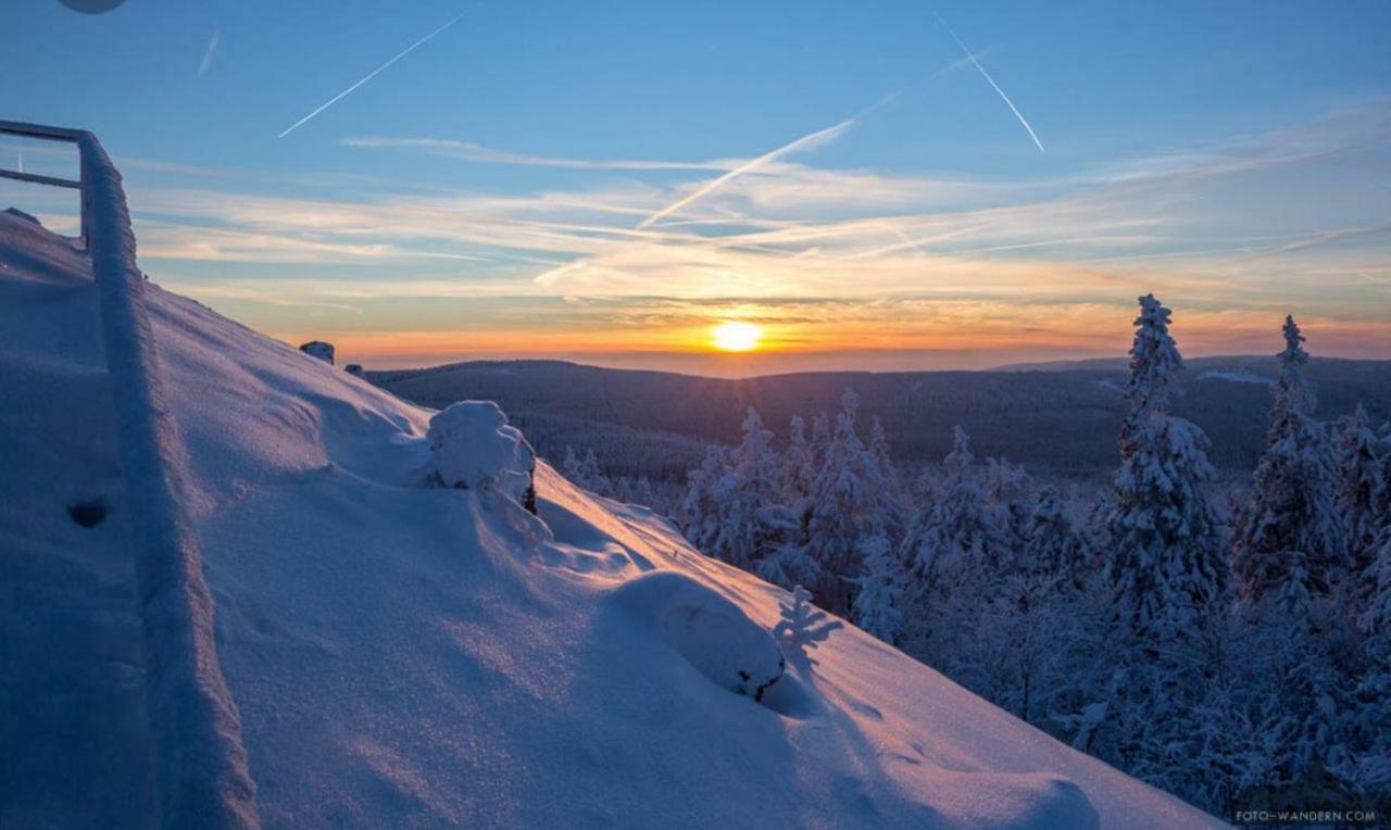 Apartmán Eulennest Eg-Ug Und Maeusenest Og Braunlage Exteriér fotografie